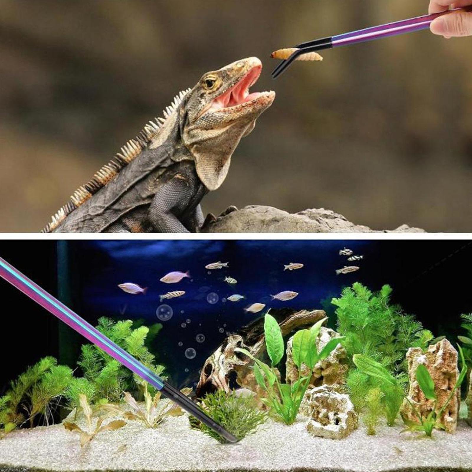 Penjepit Makanan Reptil dengan - Planted Aquarium Tips ulasan dan harga