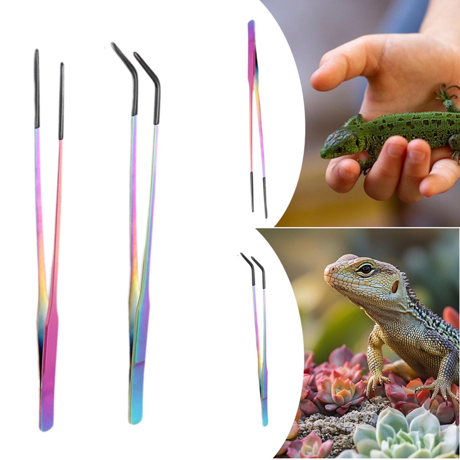 Penjepit Makanan Reptil dengan - Planted Aquarium Tips ulasan dan harga