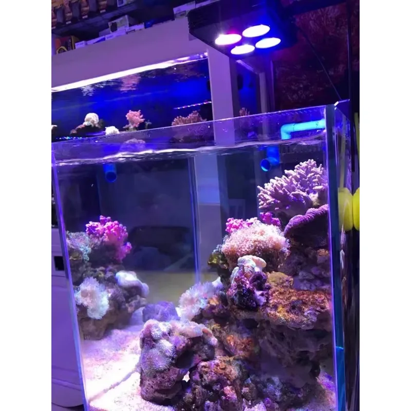 Gako A052 52w Lampu LED Akuari - Planted Aquarium For Sale ulasan dan harga