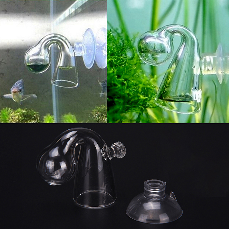 Detektor Sensor akuarium, kaca - Aquarium Plant Order ulasan dan harga