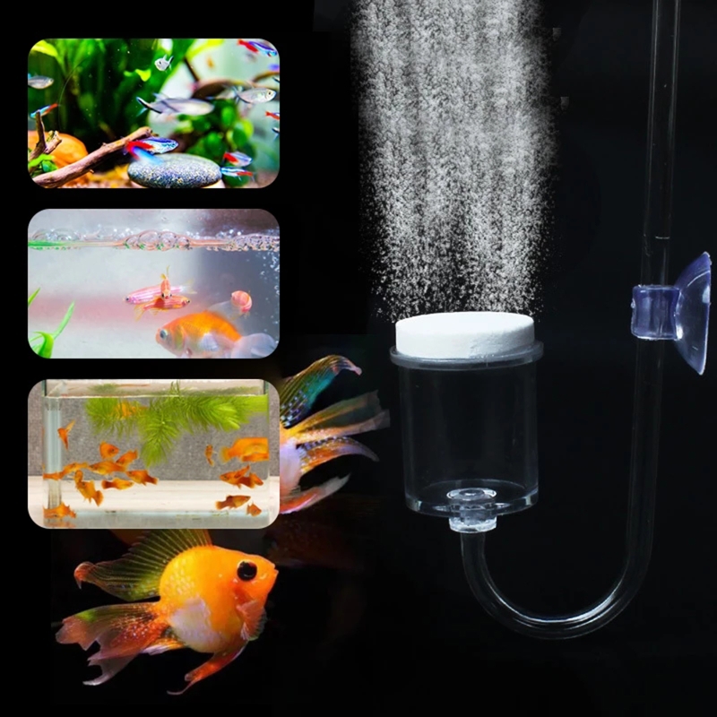 4 buah Set CO2 DIY Diffuser, u - Aquarium Plant Order ulasan dan harga