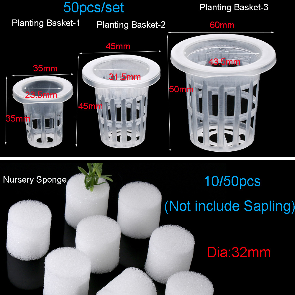 10/50 Buah Baki Penyemaian Hid - Aquarium Plant Seeds ulasan dan harga