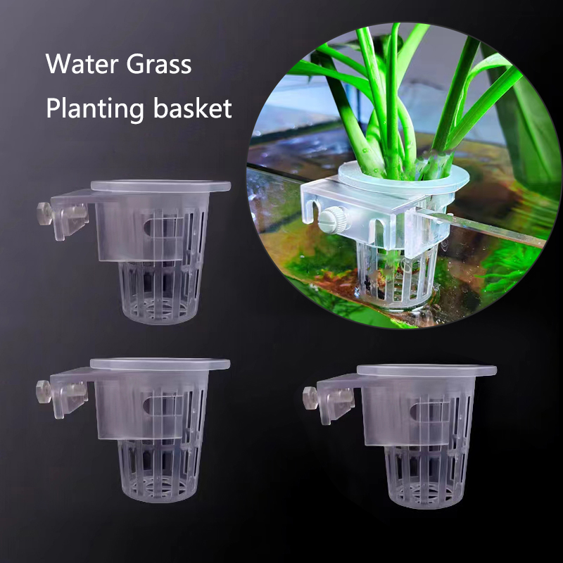 Keranjang penanaman akuarium h - Aquarium Planted Wall ulasan dan harga