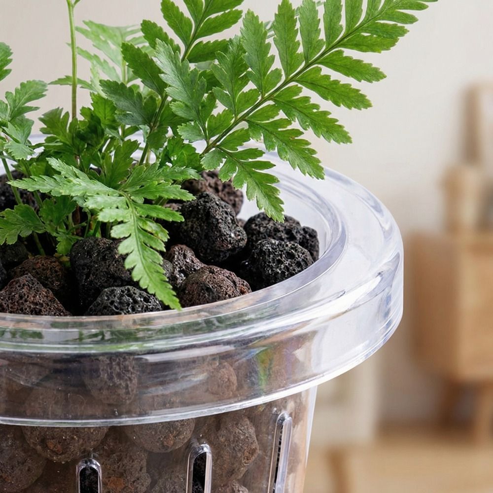 Keranjang Tanam Akuarium Gantu - Aquarium Planted Wall ulasan dan harga