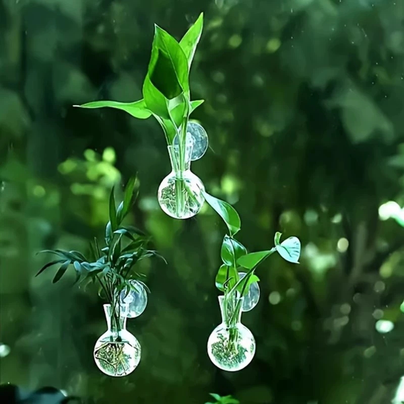 Vas Bunga Dinding Semi Lingkar - Aquarium Planted Wall ulasan dan harga
